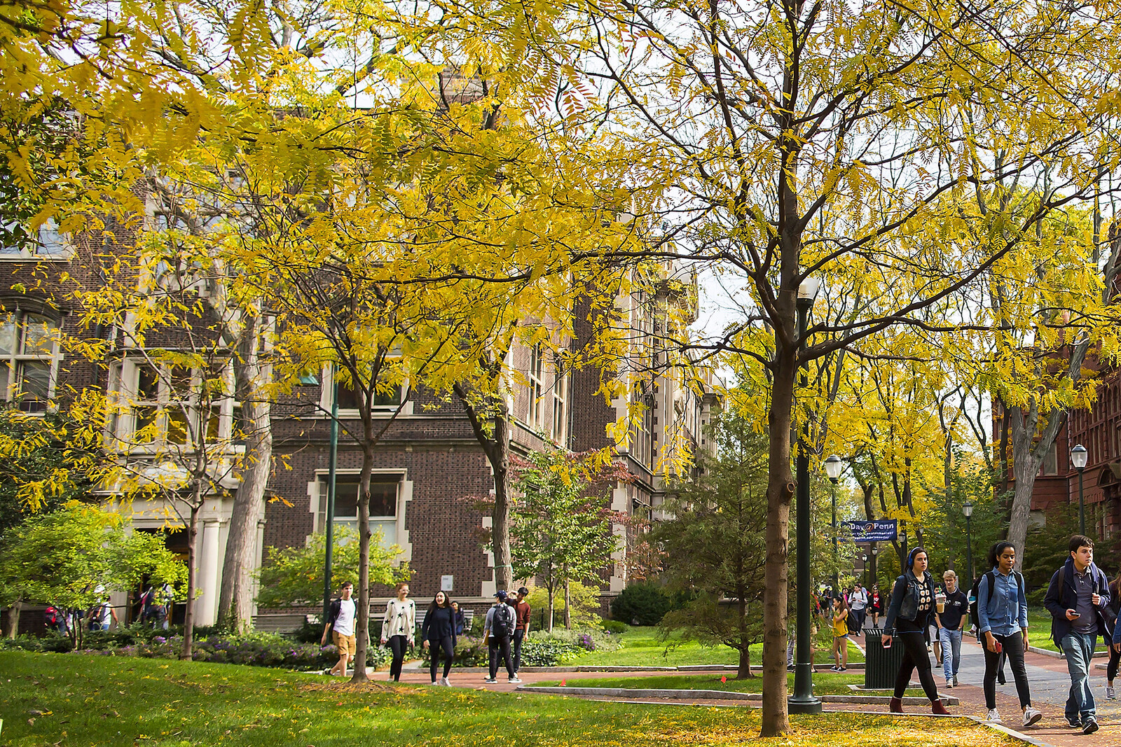 Students going to class along Smith Walk on a sunny fall day, beneath Locust trees.