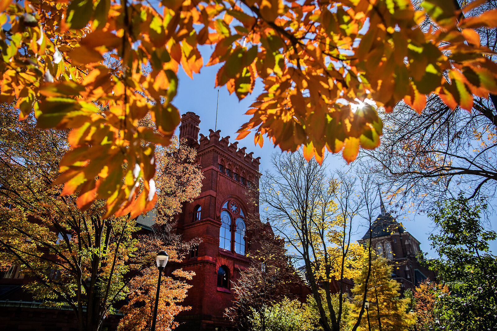 Fisher Fine Arts Library framed by colorful fall leaves